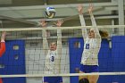 Wheaton Women's Volleyball  Wheaton Women's Volleyball vs Bridgewater State University. : Wheaton, Volleyball, BSU, Bridgewater State College